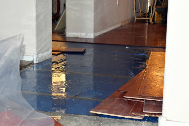 Professional Burst Pipe Cleanup technician working in Rockford, WA